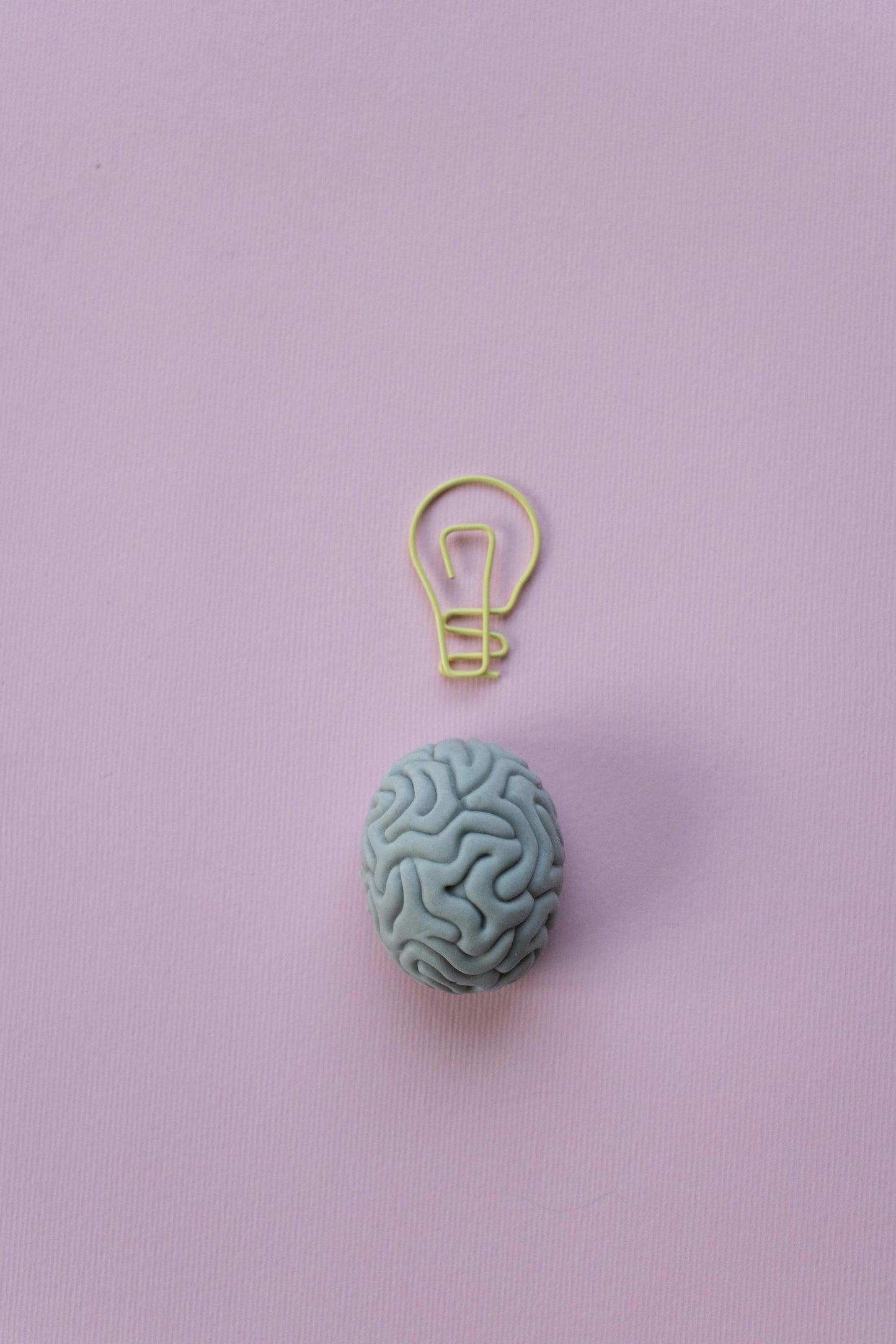 Brain